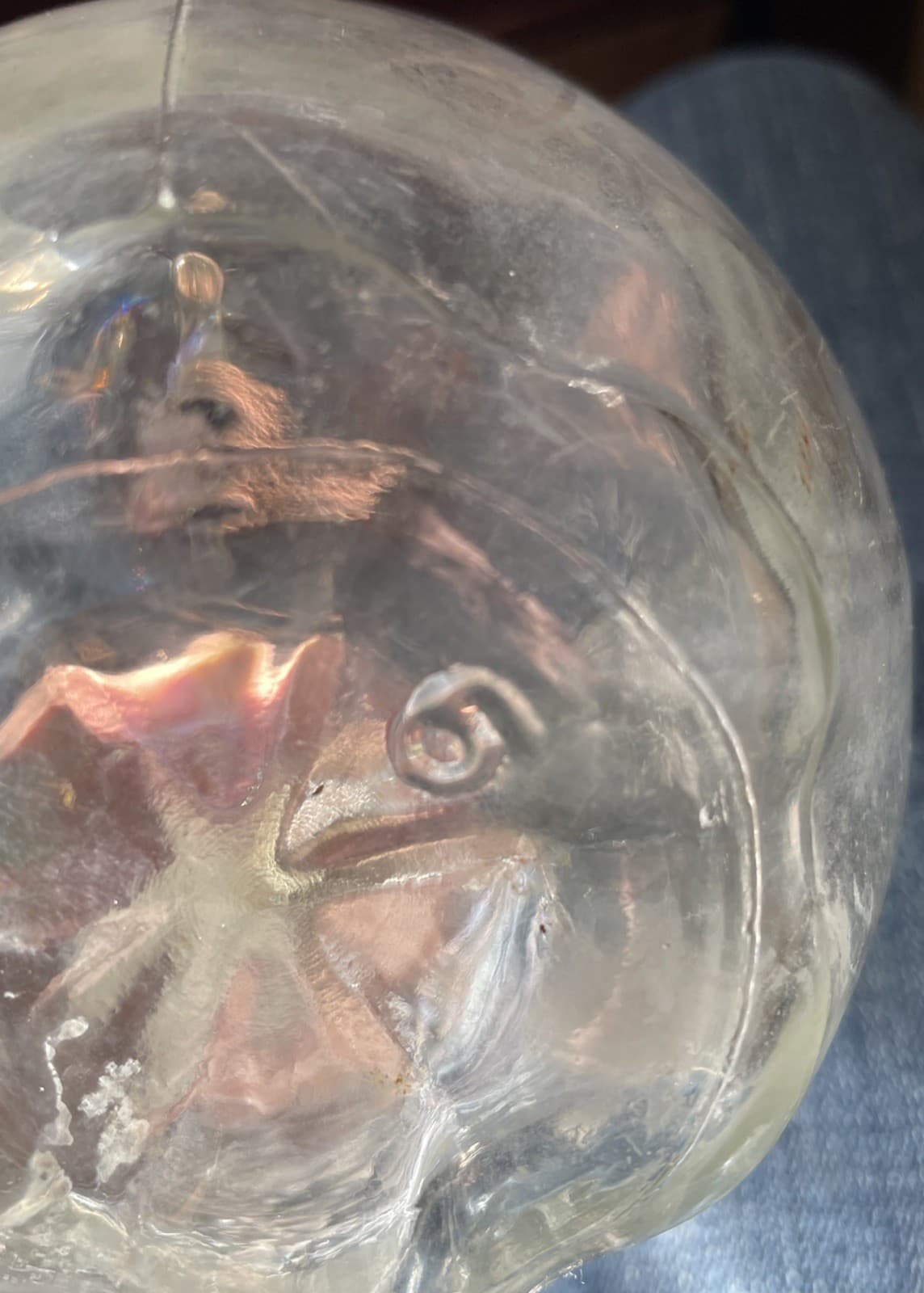 Vintage White House Apple Cider Vinegar Jug 1920s /Quart Size? 4