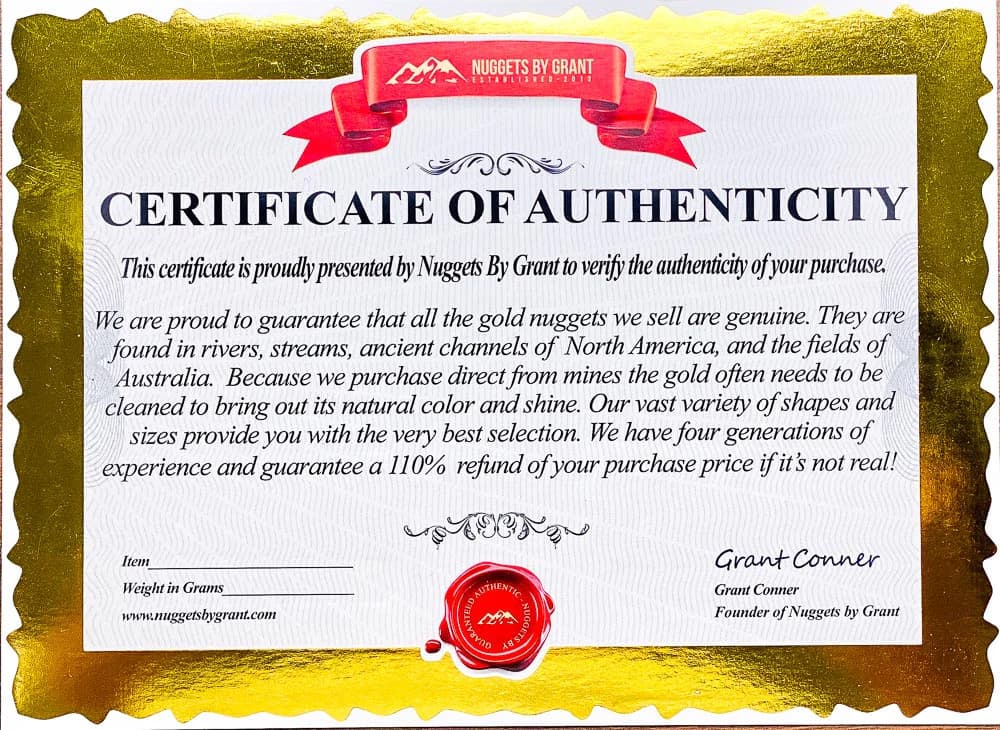 #549 Large Alaskan BC Gold Nugget 41.67 Grams Genuine 5