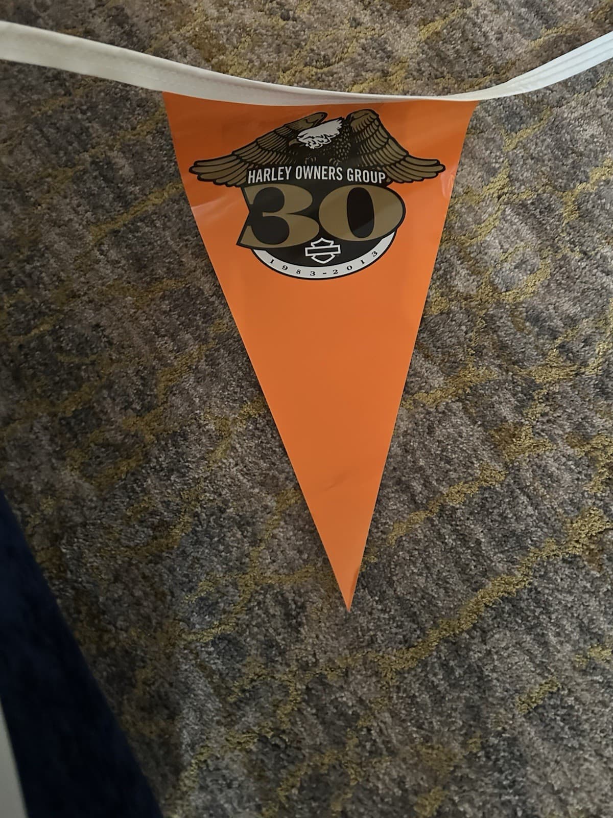 Harley Davidson 30th Anniversary Flag Banner Harley Owners Group 15 Foot Banner 4