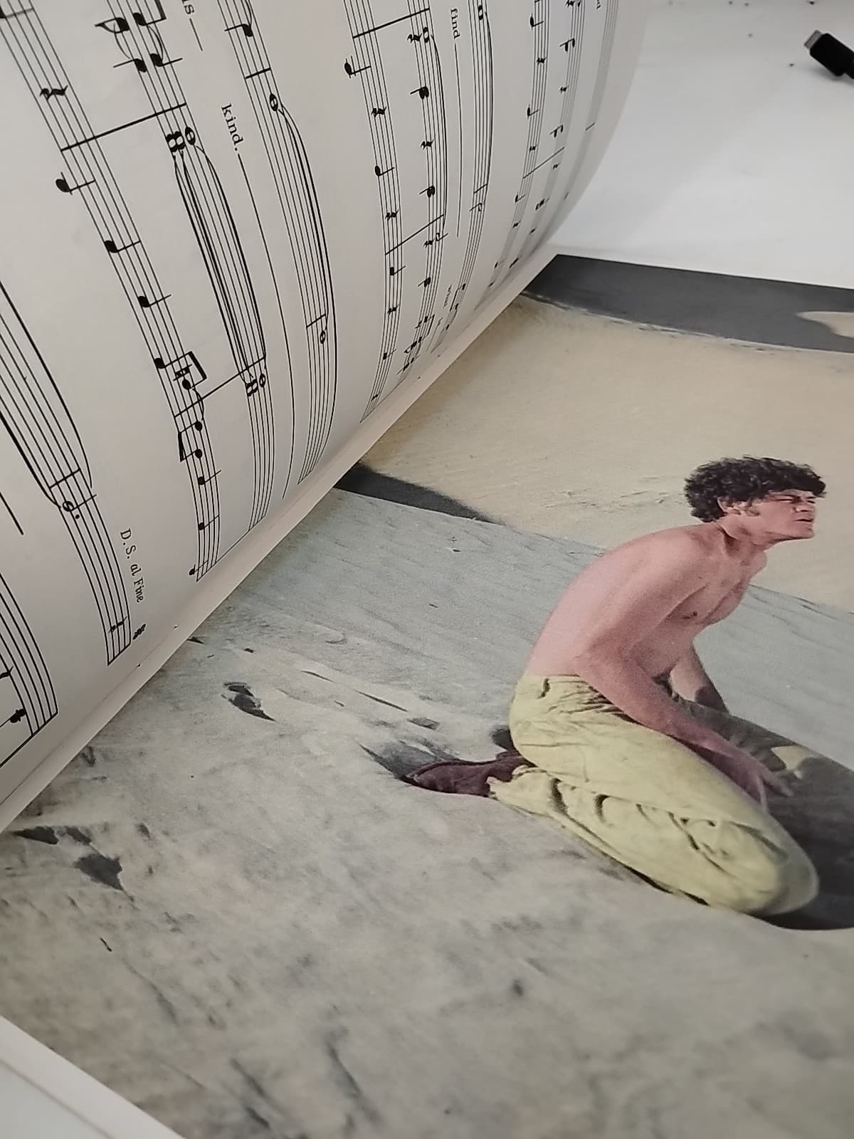 The Birds, The Bees, & The Monkees Hansen Publications Sheet Music By Brimhall 6