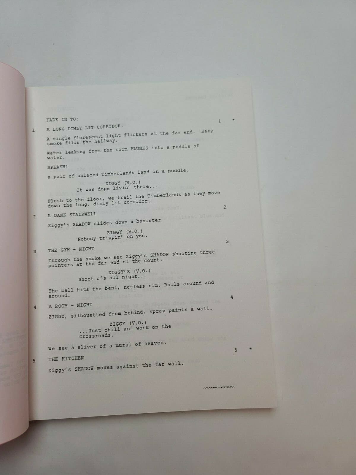 LIGHT IT UP / Craig Bolotin 1998 Screenplay, Usher & Forest Whitaker 4