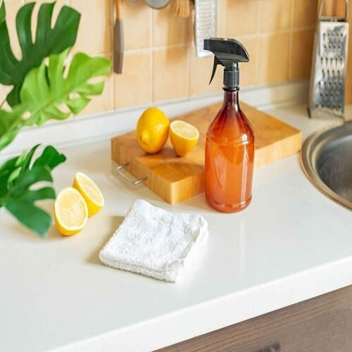 Chemisol Citric Acid Food Grade #5 Lb 6