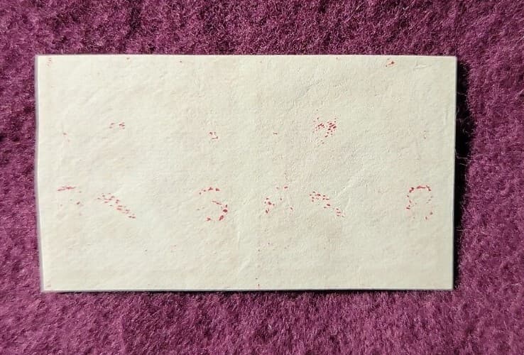 2 cent Washington Die Proof PAIR on stamp paper - Scott# 219DPe - Mint, NH 3