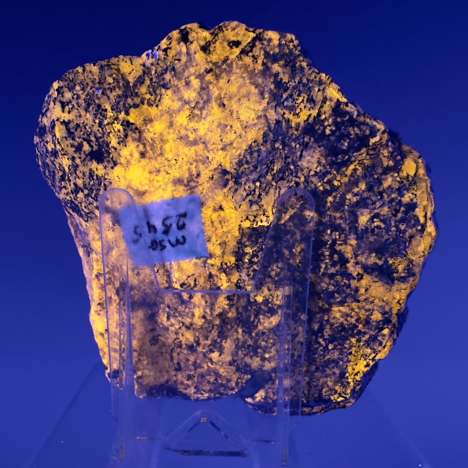 Fine Large Fluorescent Sodalite: Taseq Slope, Ilímaussaq, Kujalleq, Greenland 3