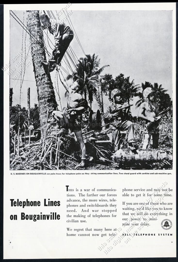 1944 USMC Marines Bougainville palm tree telephone pole photo Bell Telephone ad