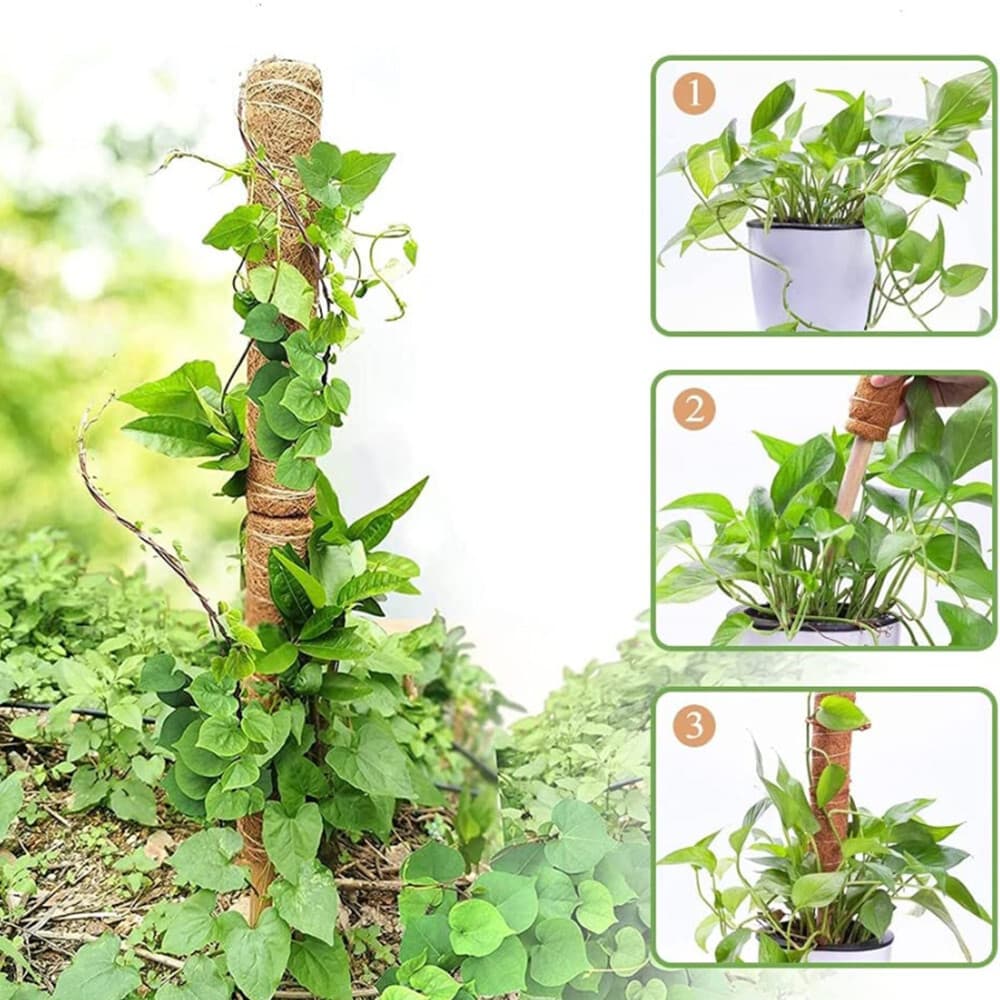 Coir Totem Pole | 3 PCS 11.8" | Plant Support Totem Pole | Moss Poles for Plant 6