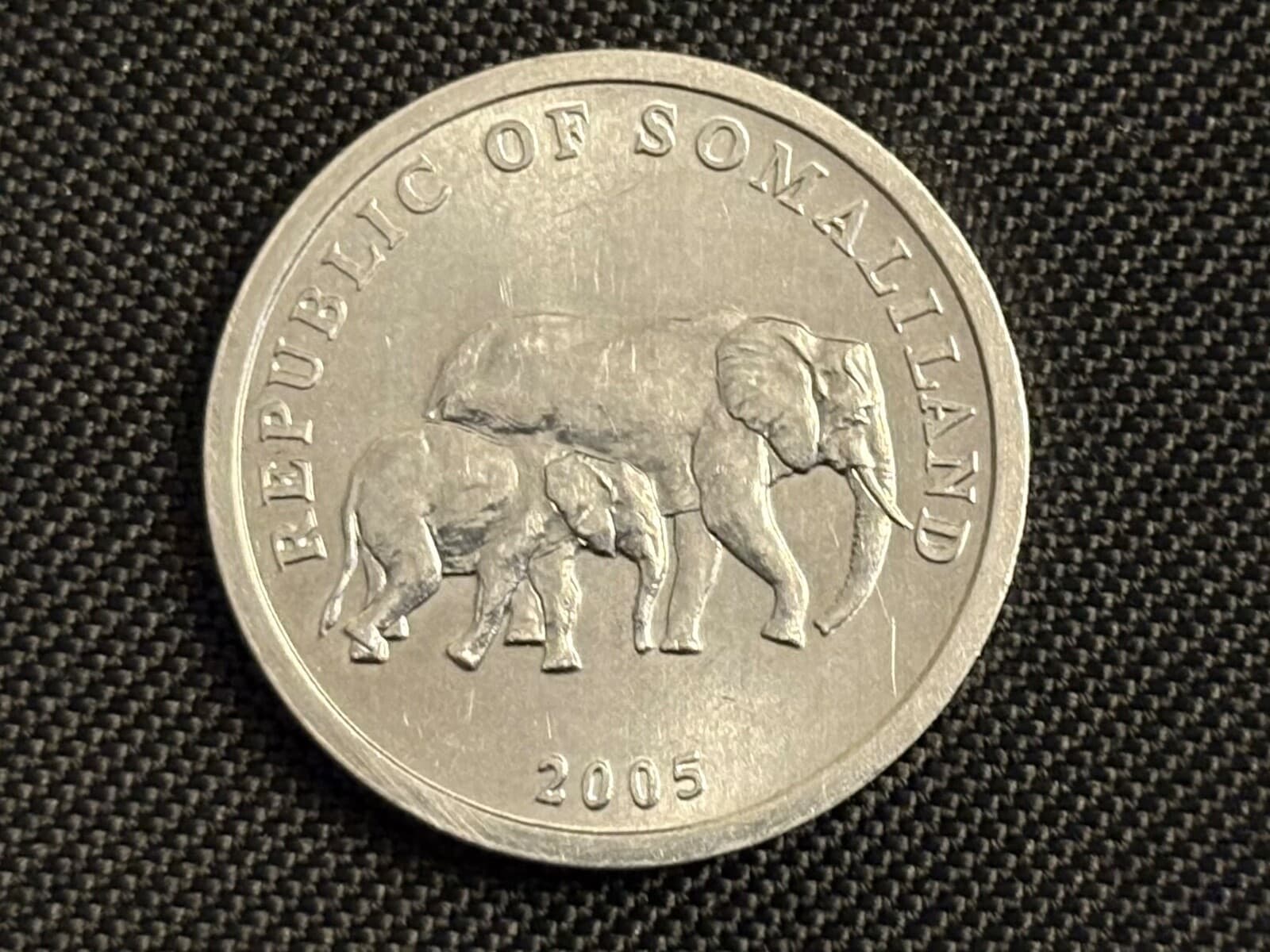 2005 Republic of Somaliland 5 Shillings Coin Elephant Baby Calf Animal Wildlife