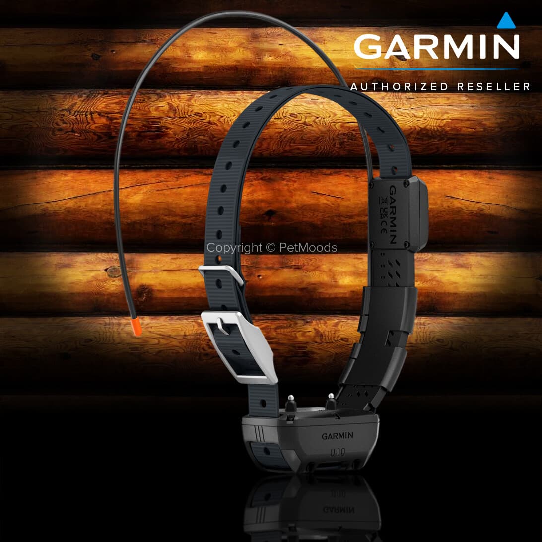 Garmin Alpha TT25 GPS Dog Tracking & Training Collar - 010-02447-20