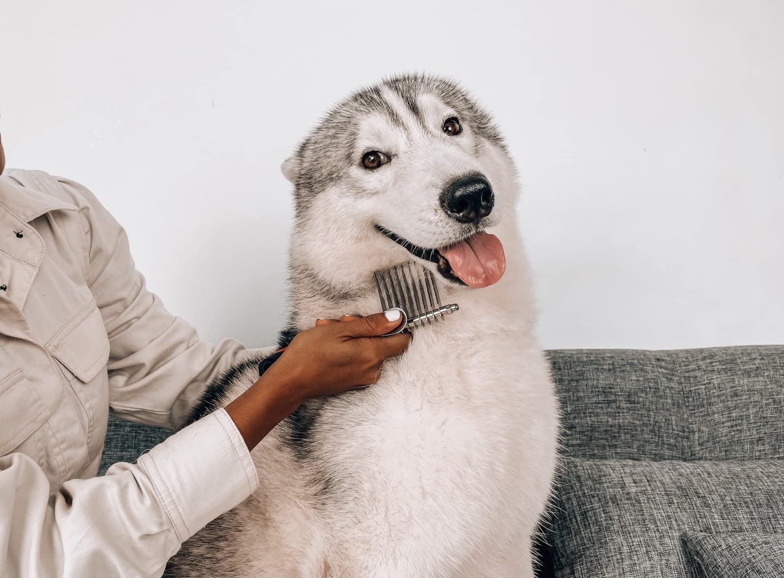 Dematting Comb For Dogs & Cats – Detangling Brush Tool For Dogs Easily & Safe... 6