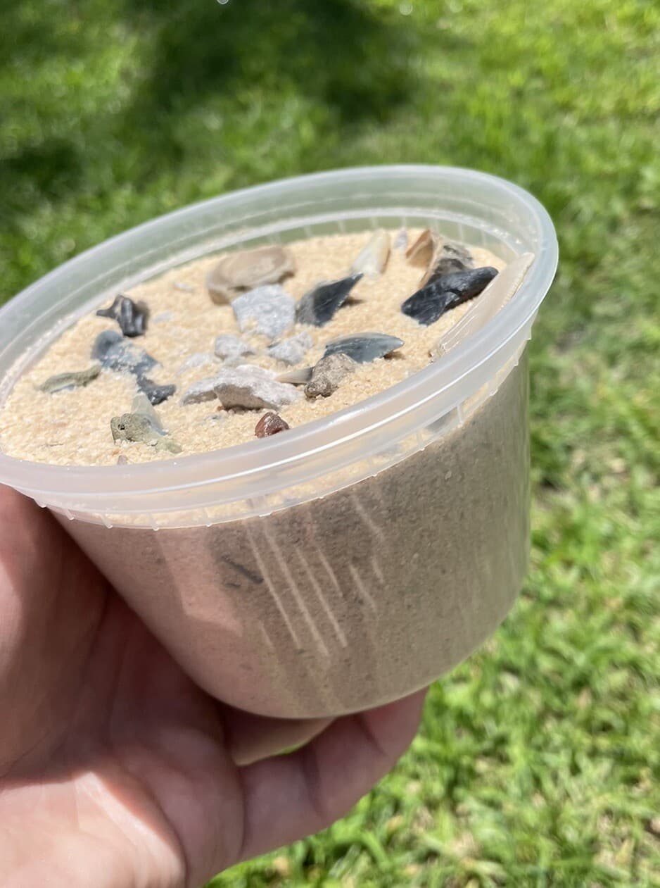 Fossil Shark Tooth Dig Kit (24+ Authentic Lowcountry Fossils) Megalodon GW Etc. 2