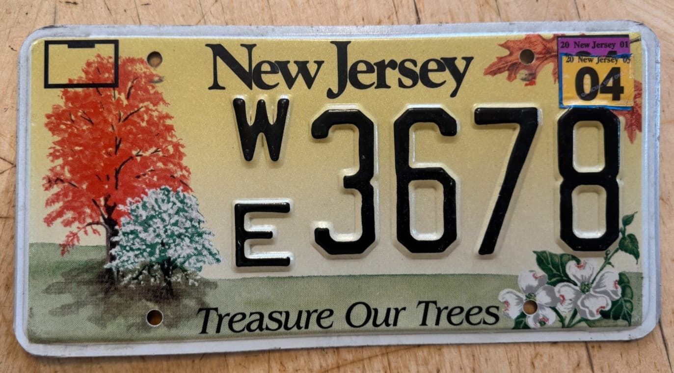 NEW JERSEY TREASURE OUR TREES GRAPHIC TREE LEAVES LICENSE PLATE " WE 3678 "  NJ