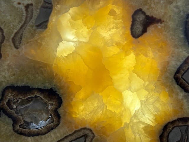 RARE  7 9/16"  SEPTARIAN SLAB W/ FOSSIL CRAB  ,A+ QUALITY: & FL/PHOSPHORESCENT! 5