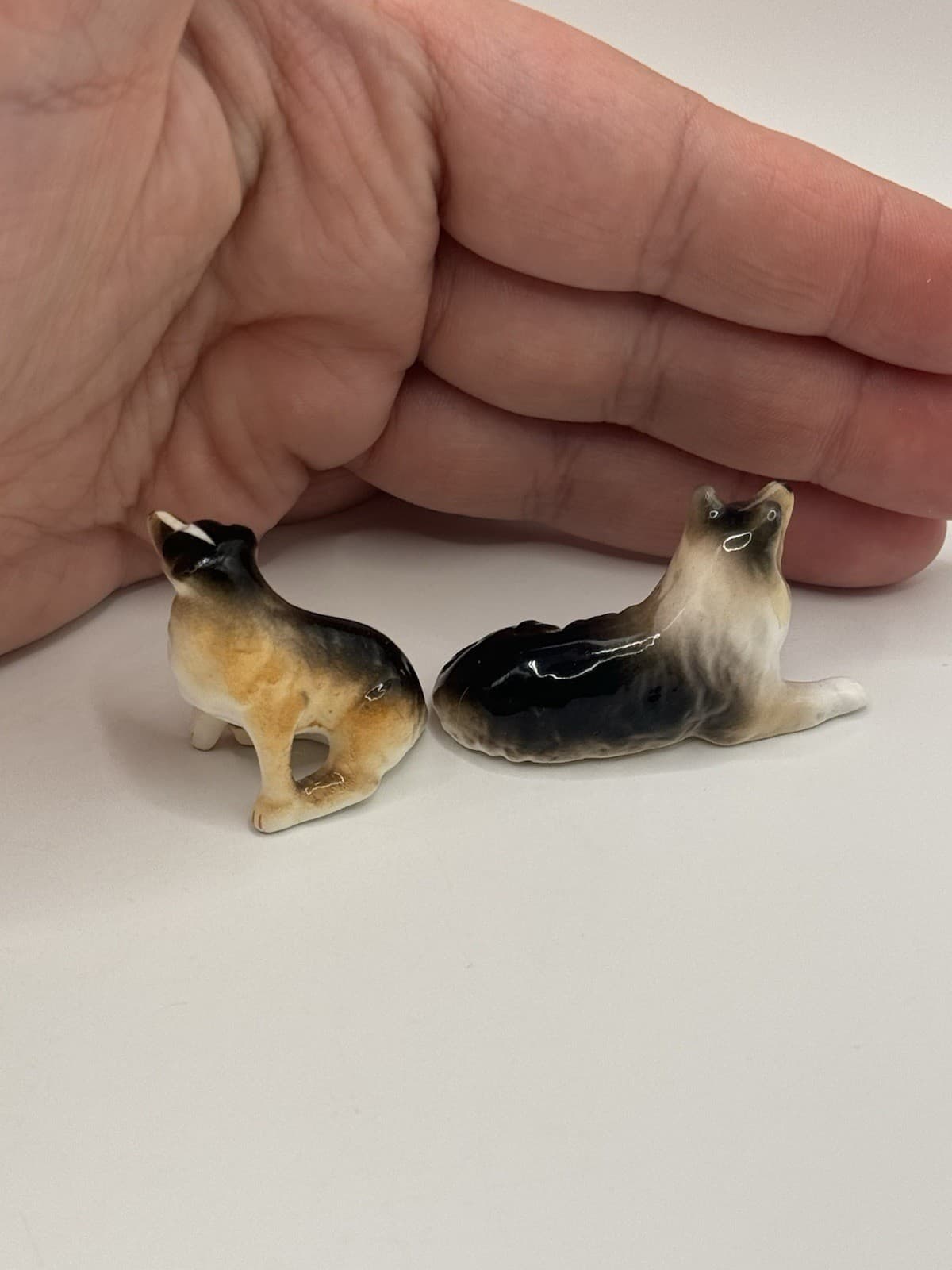 Vintage Porcelain Collie Sheltie Dog Figurine Pair Miniature Puppy Trinkets 4