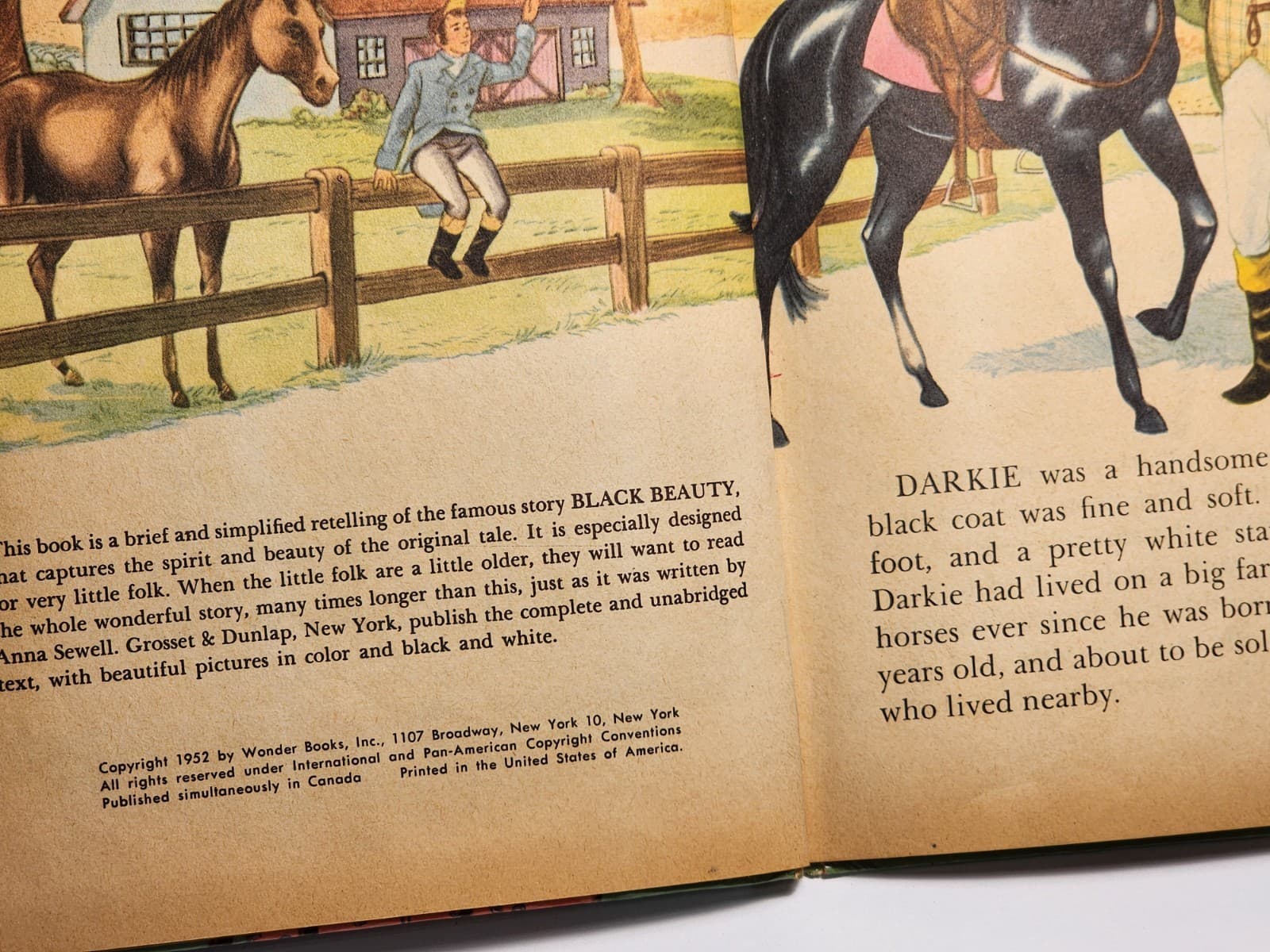 Black Beauty Retold For Little Children 1952 Wonder Book Illustrated 5