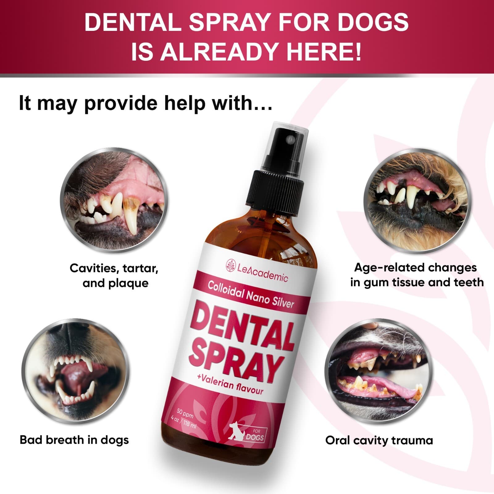 Cat Dental Care Spray | Breath Freshener & Teeth Cleaner | 4 oz 2
