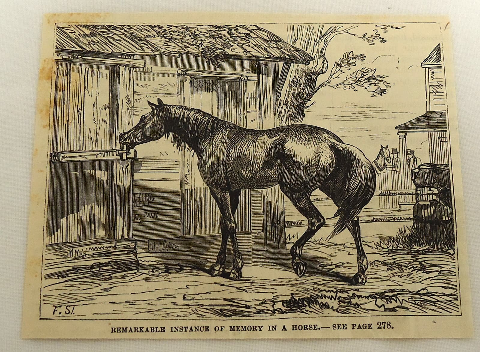 1879 magazine engraving ~ REMARAKABLE MEMORY IN A HORSE ~ horse opens door