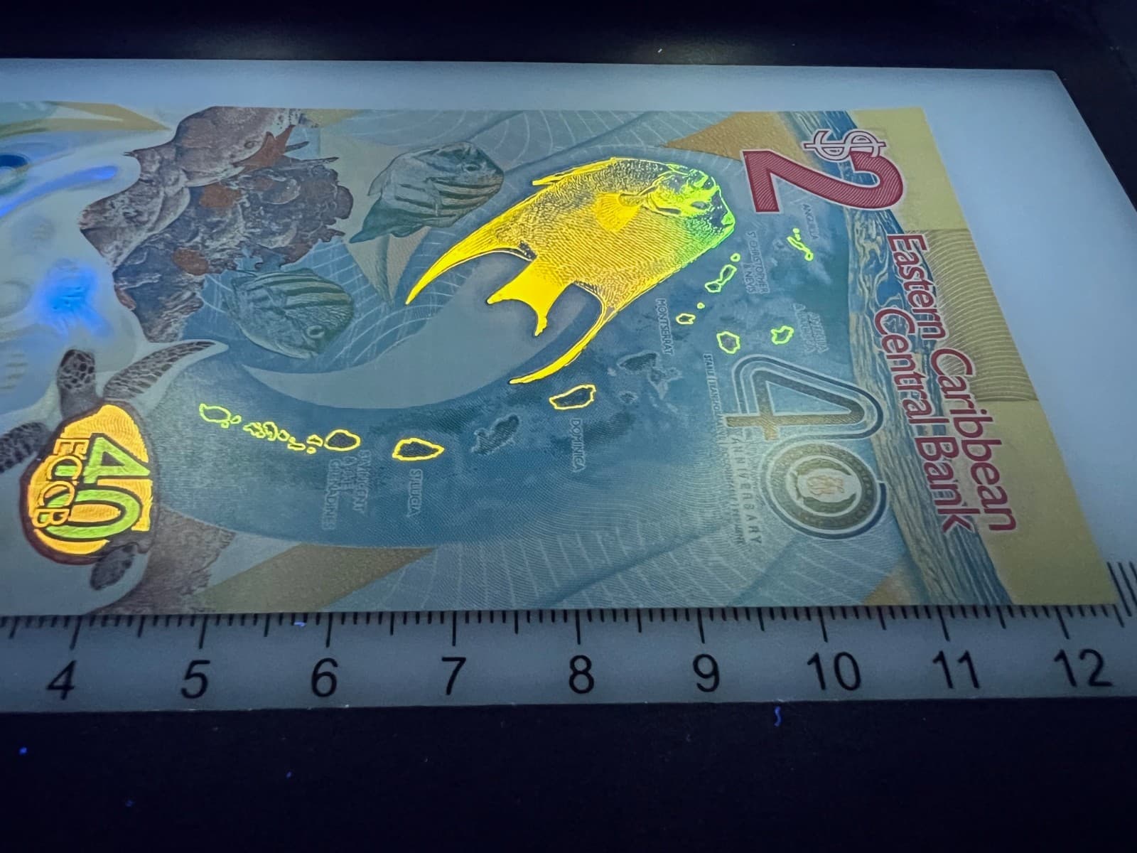 Eastern Caribbean $2 Banknote World Paper Money UNC Currency Bill Note Dollar 4