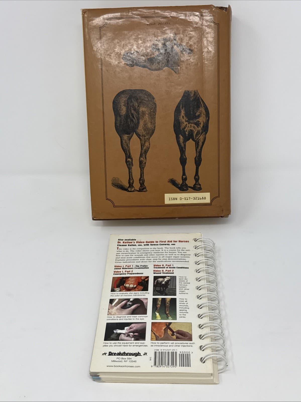 Lot of 2 -  Encyclopedia of the Horse By Dennis Magner & First Aid for Horses 4
