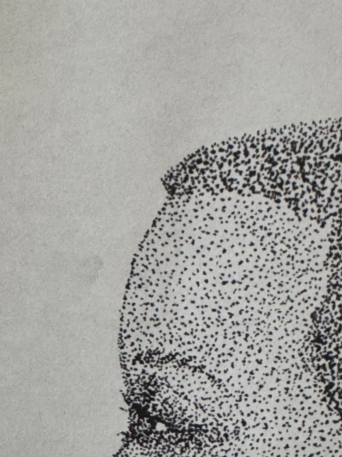 Original Pointillism Young African-American Woman Pen Portrait Drawing 8.5"x11" 4