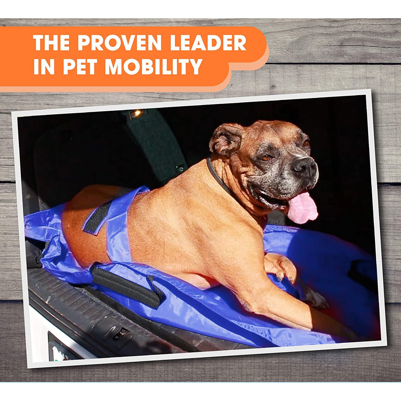 Large Pet Transport Stretcher Dog Animal Stretcher Emergency Recovery 60kg Load 4