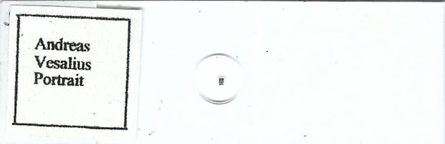 Andreas Vesalius Portrait Microphotograph Microscope Slide 2