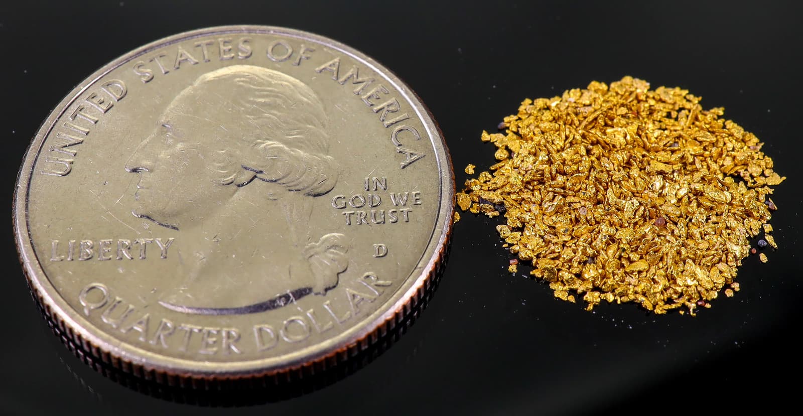 Todd Hoffman's Mammoth Valley Gold Rush Nuggets #50-30 Mesh 1 Gram of Fines 2