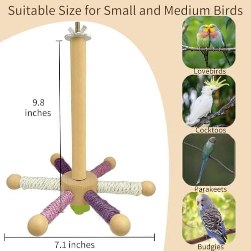 Bird Perch Toy, Parrot 360° Rotating Stand Perch, Wooden Interactive White 2