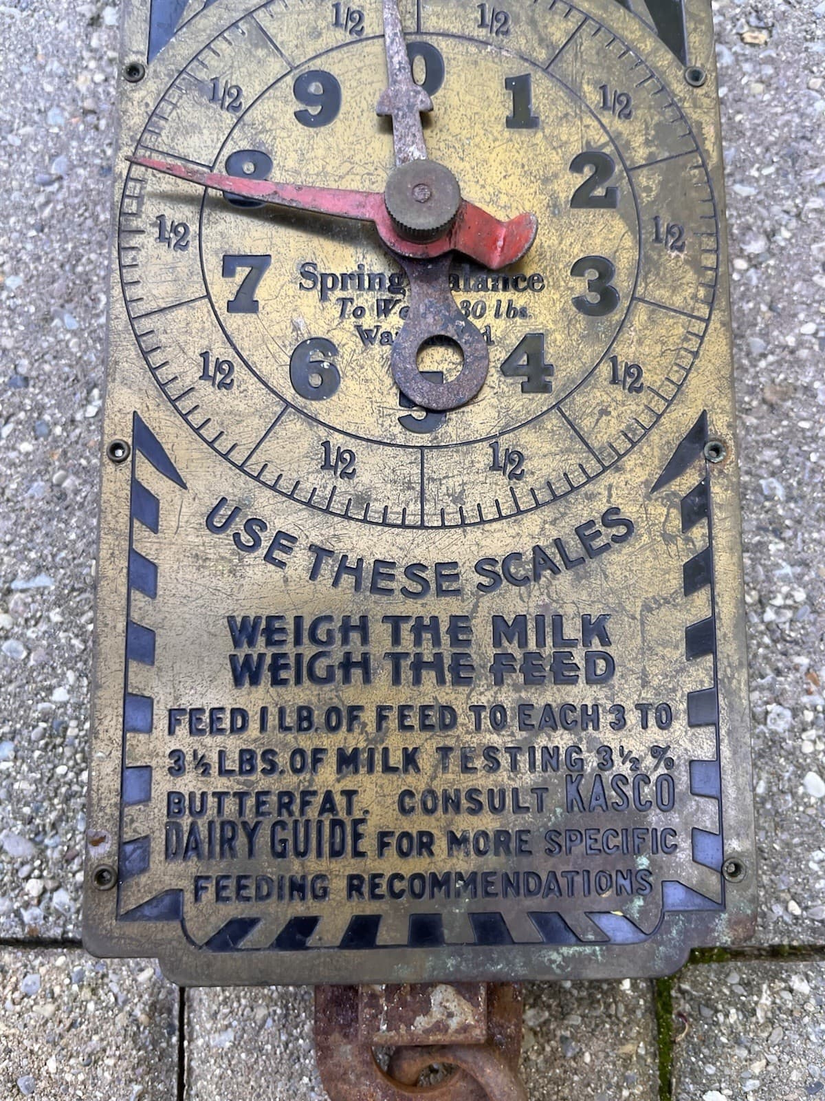 Vintage Kasco Feed 10-lb Milk/Feed Scale 4