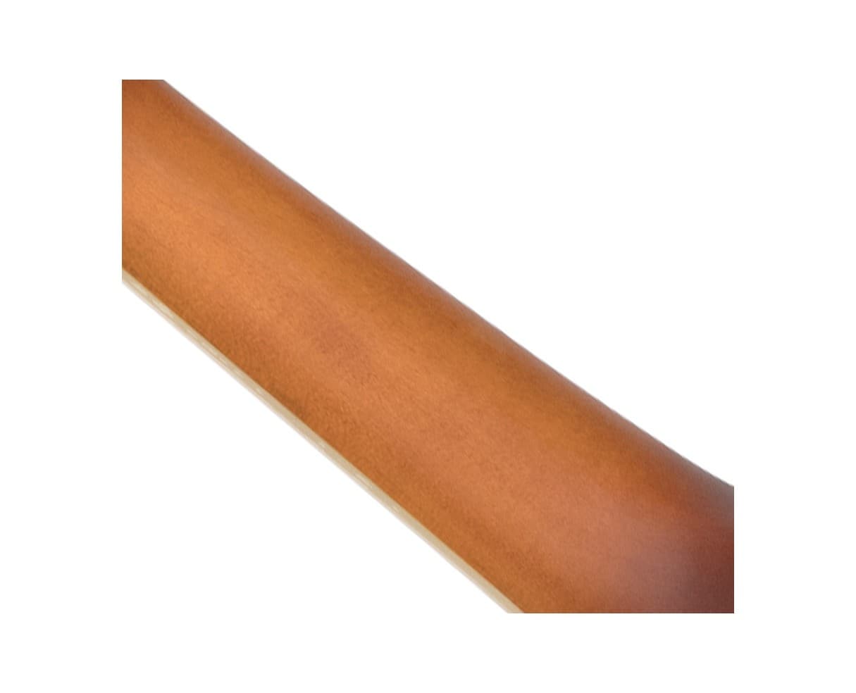 Gold Tone Mastertone F10 10-String F-Style Mandolin - Open Box 6