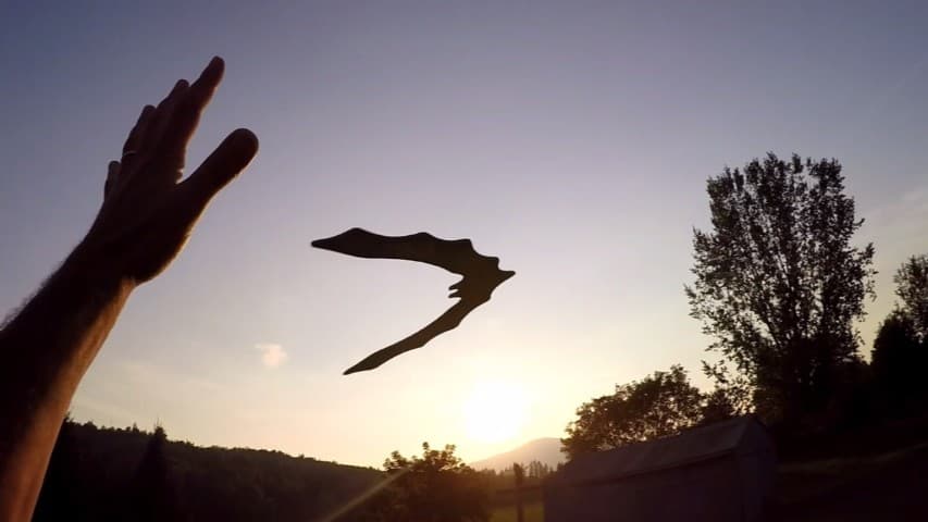 Batman Batarang Boomerang handcrafted Boomerangs By Vic REALLY RETURNS! 3