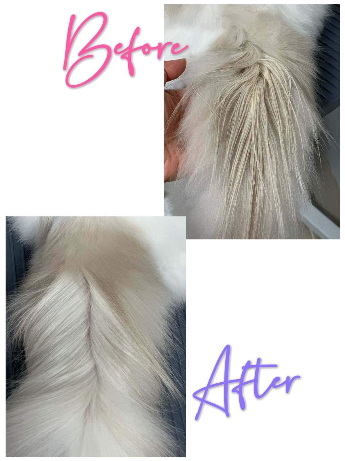 Dolly-Chiny® Cat Degreasing Oil– Natural Grease Remover for Cats, 390ml 5