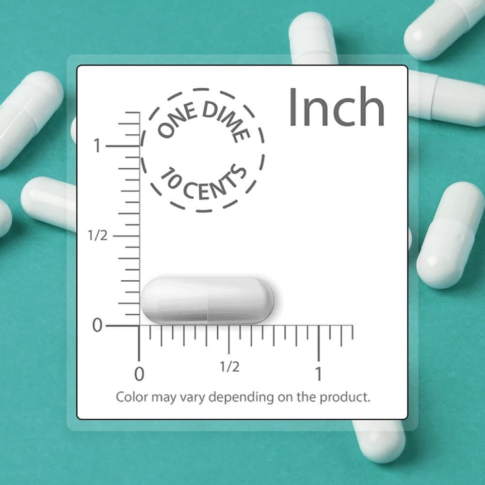 Helicobacter pylori versus Lactobacillus reuteri probiotics Acid Stomachache 5