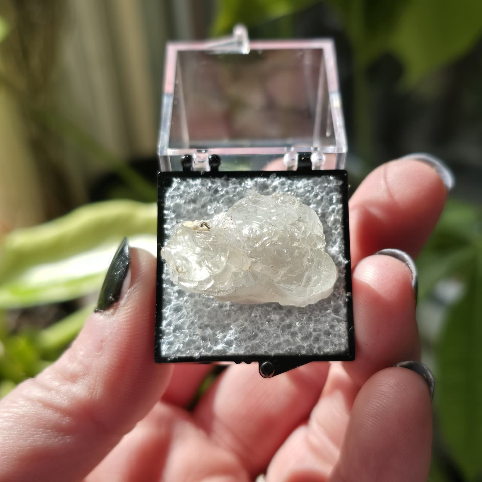 Fluorescent Hyalite Opal Specimen UV Reactive Glass Opal Specimen Perky Box 4