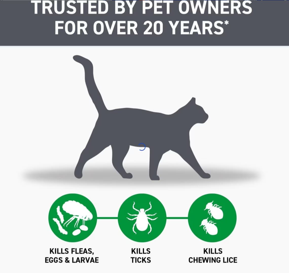 New date Cat Flea and Tick Treatment For Cats & Kitten 8 Weeks + 6 Doses 3