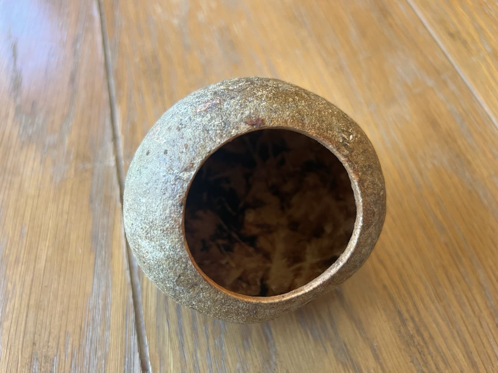 Aquarium Botanical Sampler Lot Indian Almond Leaves Cocoa Bael Lotus Pod Coconut 3