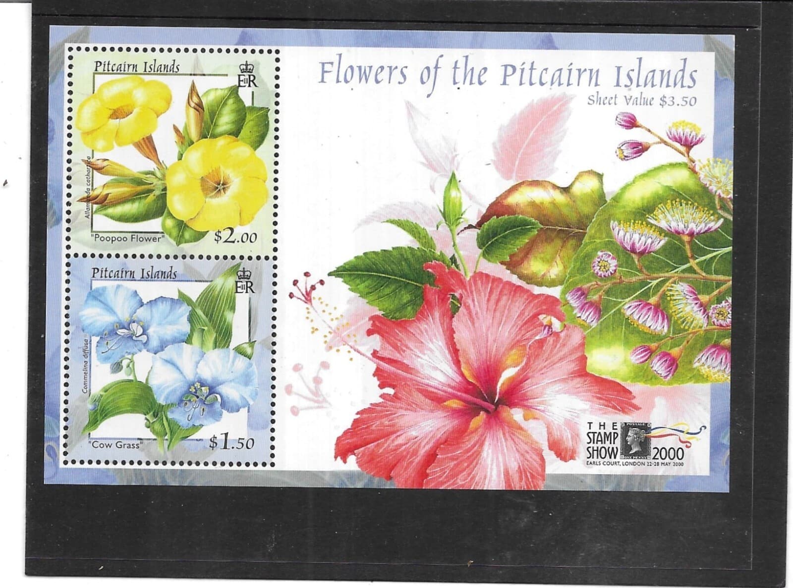 PITCAIRN ISLAND 2000. FLOWERS. MINISHEET. MINT FULL GUM. AS PER SCAN. 3