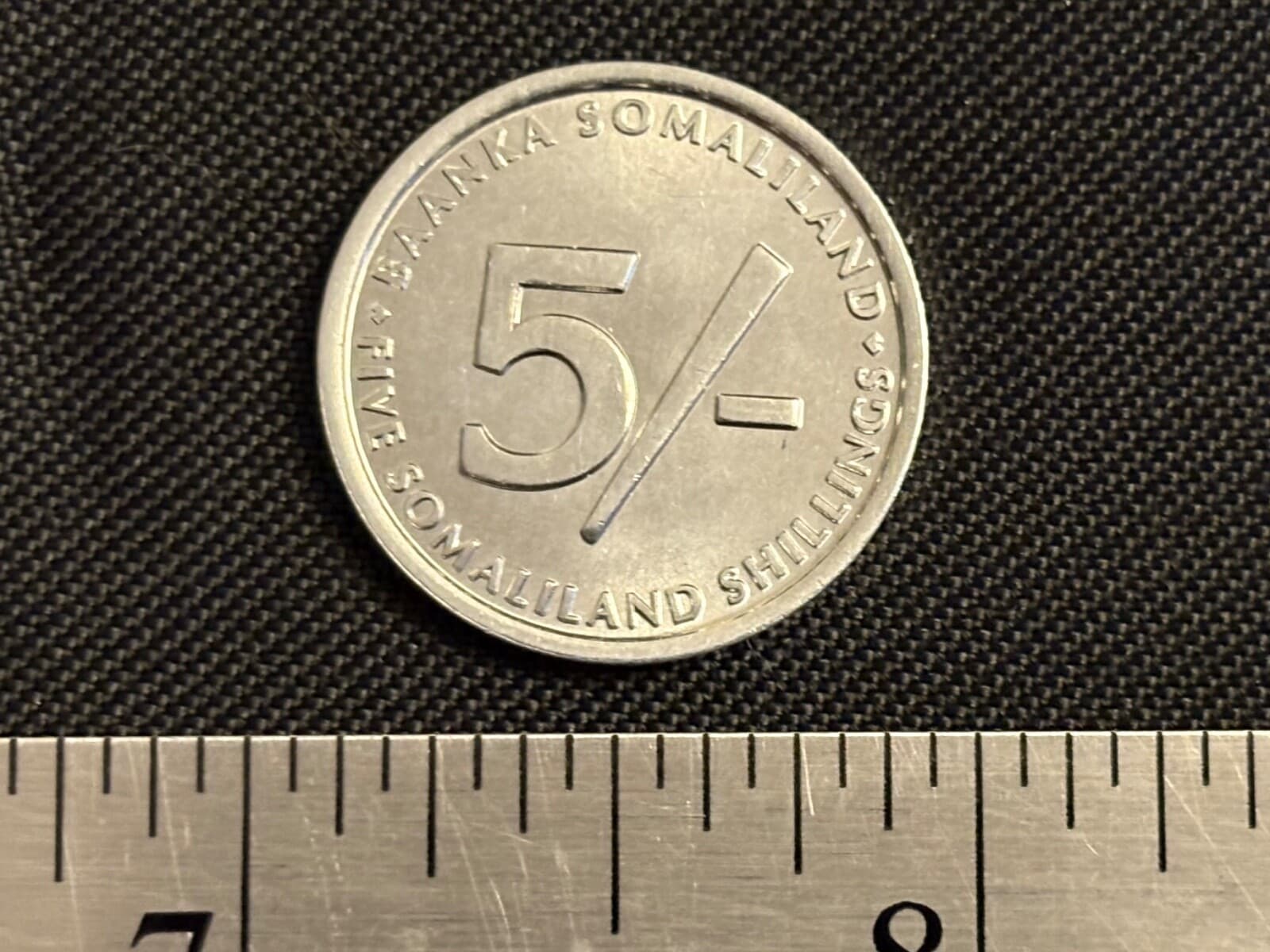 2005 Republic of Somaliland 5 Shillings Coin Elephant Baby Calf Animal Wildlife 3