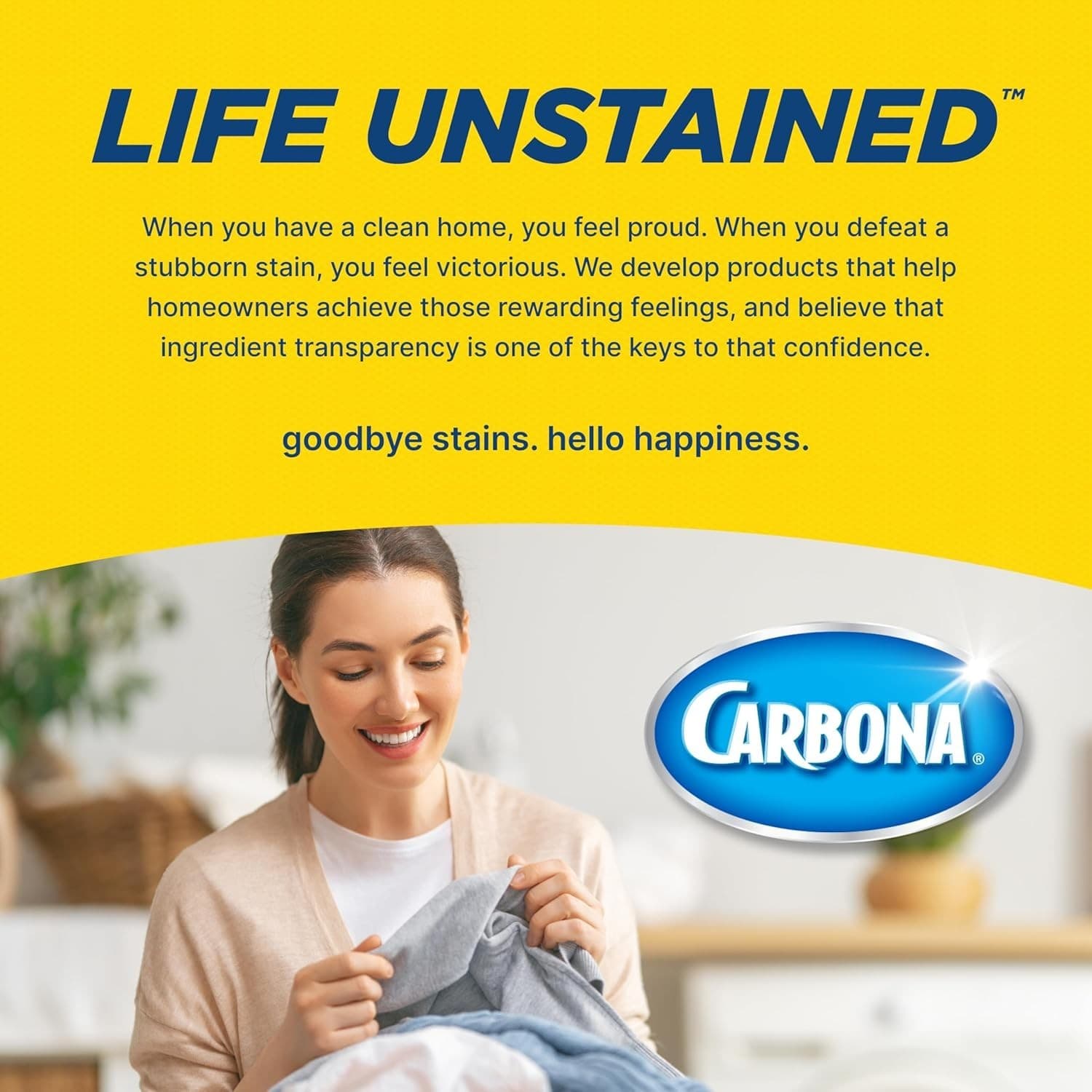 Carbona Oxy-Powered Pet Stain & Odor Remover | Carpet Cleaner for Pets | 13.5oz 3