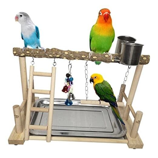 Bird Playground Parrot Playstand Birds Play Stand Wood Exercise Perch Gym