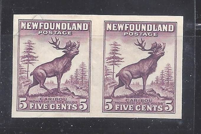 Canada NEWFOUNDLAND #257a 5c CARIBOU IMPERFORATE PAIR WATERLOW PRINT BS31288