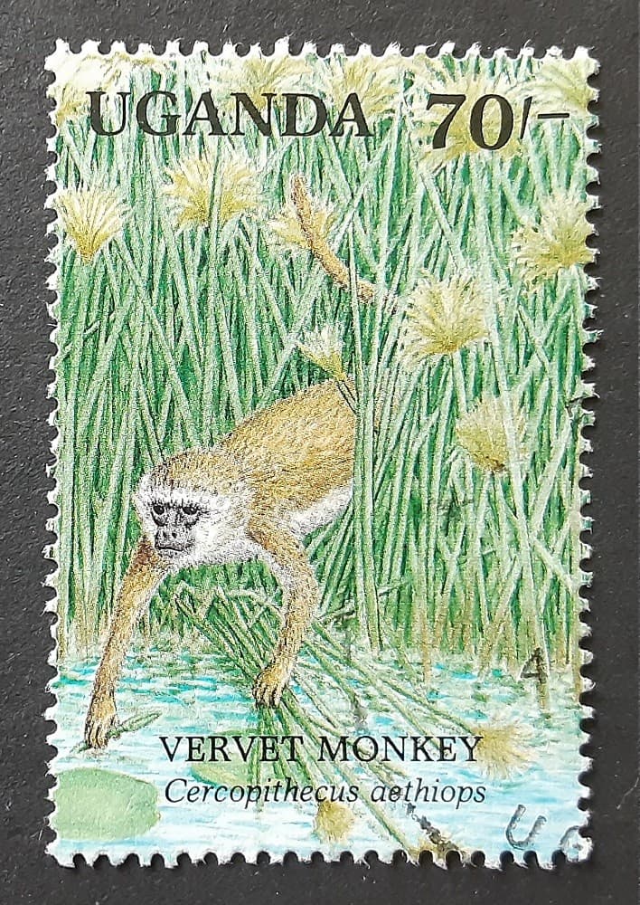 UGANDA 1991 70/- Used Grivet Monkey Mi 861 Scott 857f XF 9271