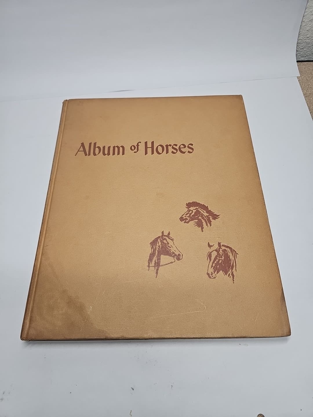 Album Of Horses Marguerite Henry Vintage