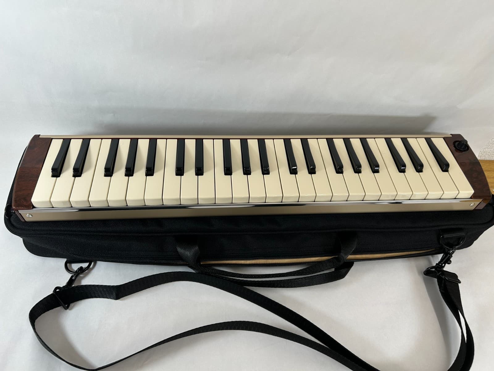 HAMMOND Hammond HAMMOND44 PRO44Hv2 keyboard harmonica acoustic guitar model