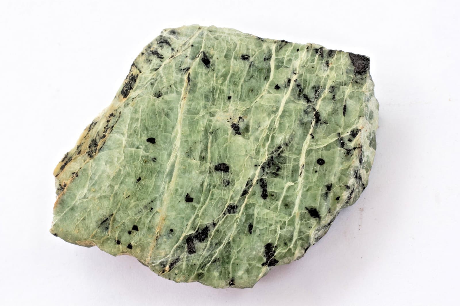 Antigorite (var.) Williamsite: Lowe's Chrome Pit Cecil Co., Maryland (cut slab)