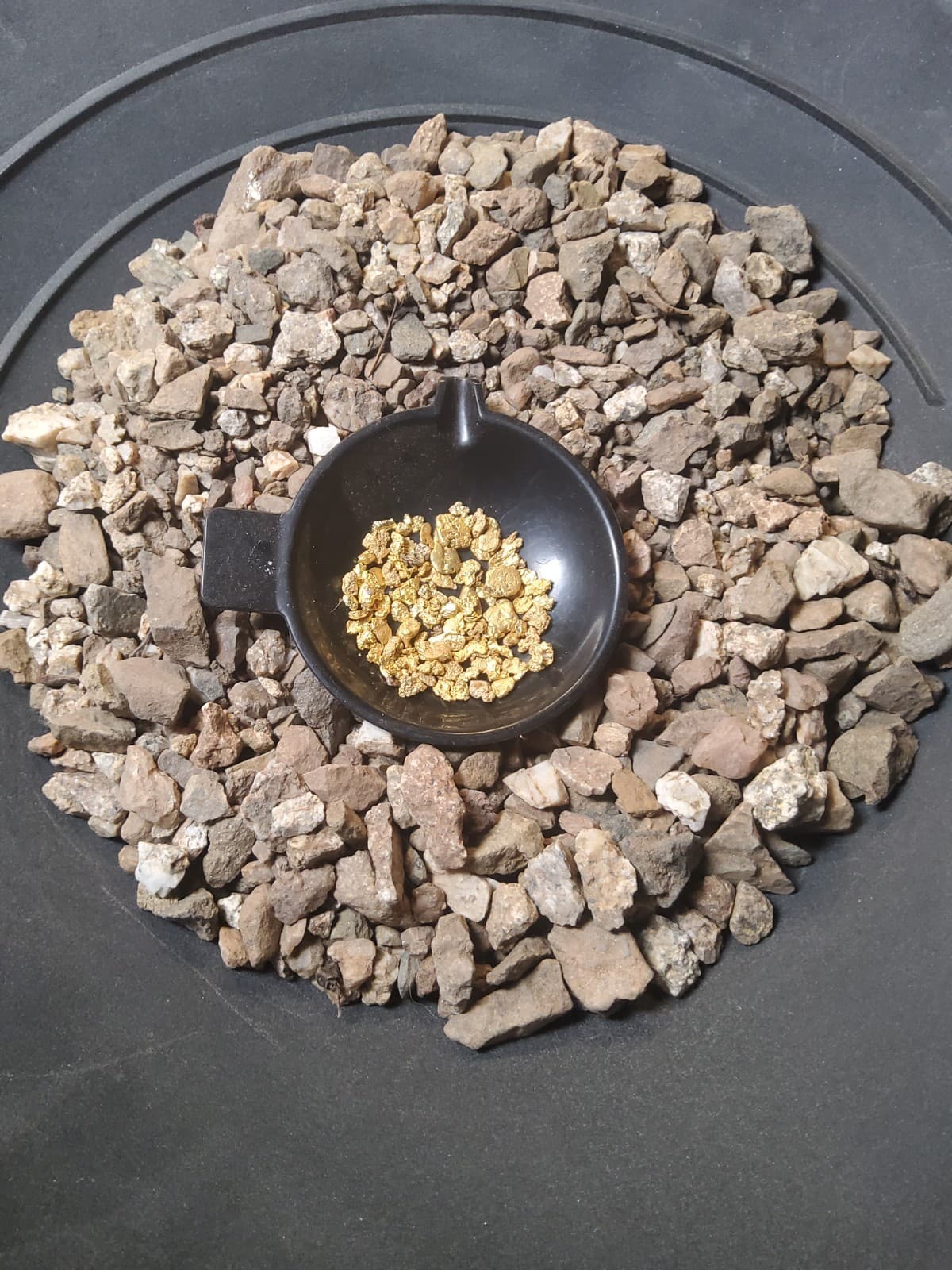 Gold Paydirt Unsearched Concentrates