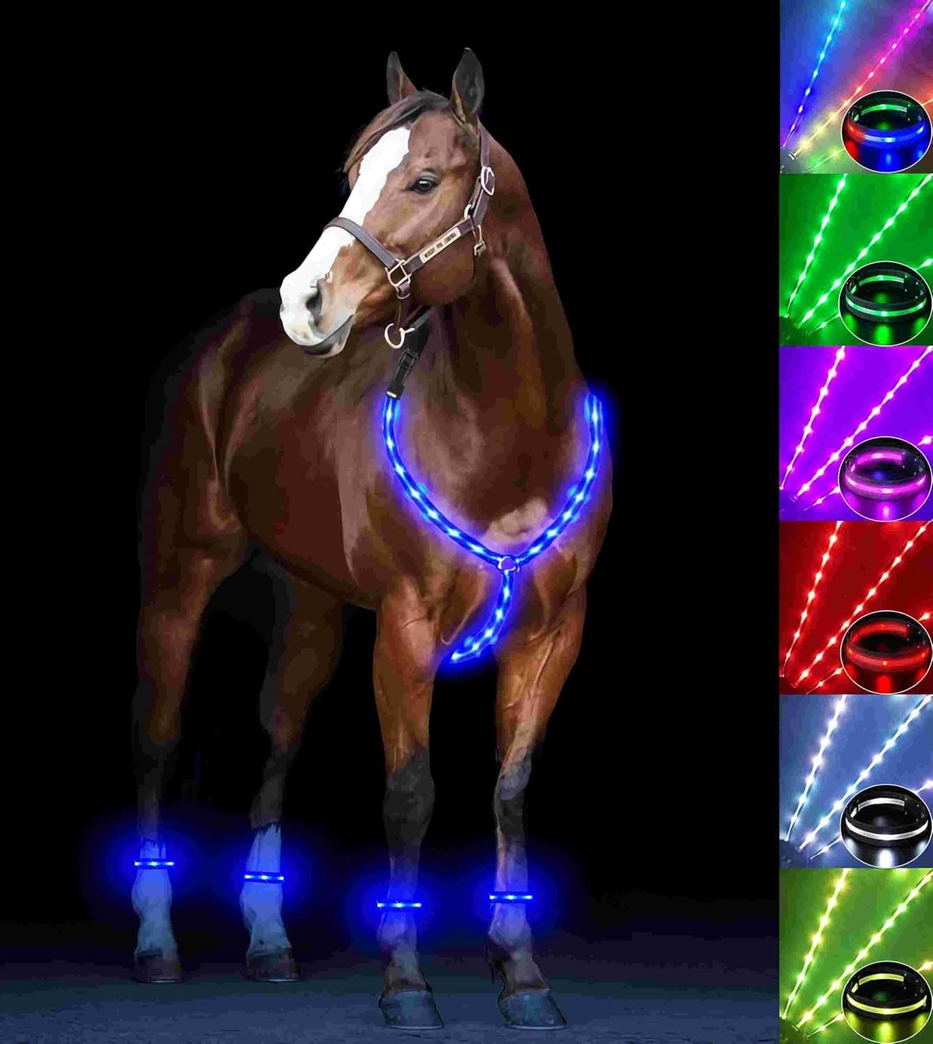 5pcs LED Horse Breastplate Collar & Leg Band, 7 Colors in 1 Light Multicolor