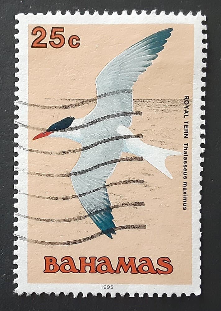 BAHAMAS 1991 25c Used Royal Tern Bird Mi 741I Scott 713 XF 9042