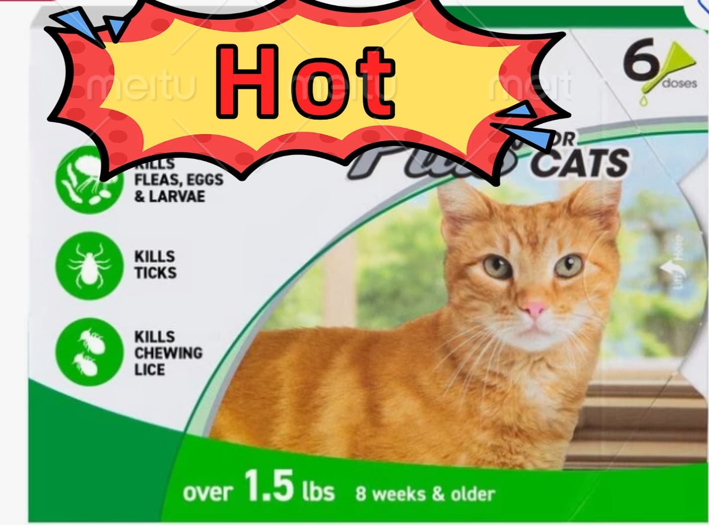 New date Cat Flea and Tick Treatment For Cats & Kitten 8 Weeks + 6 Doses