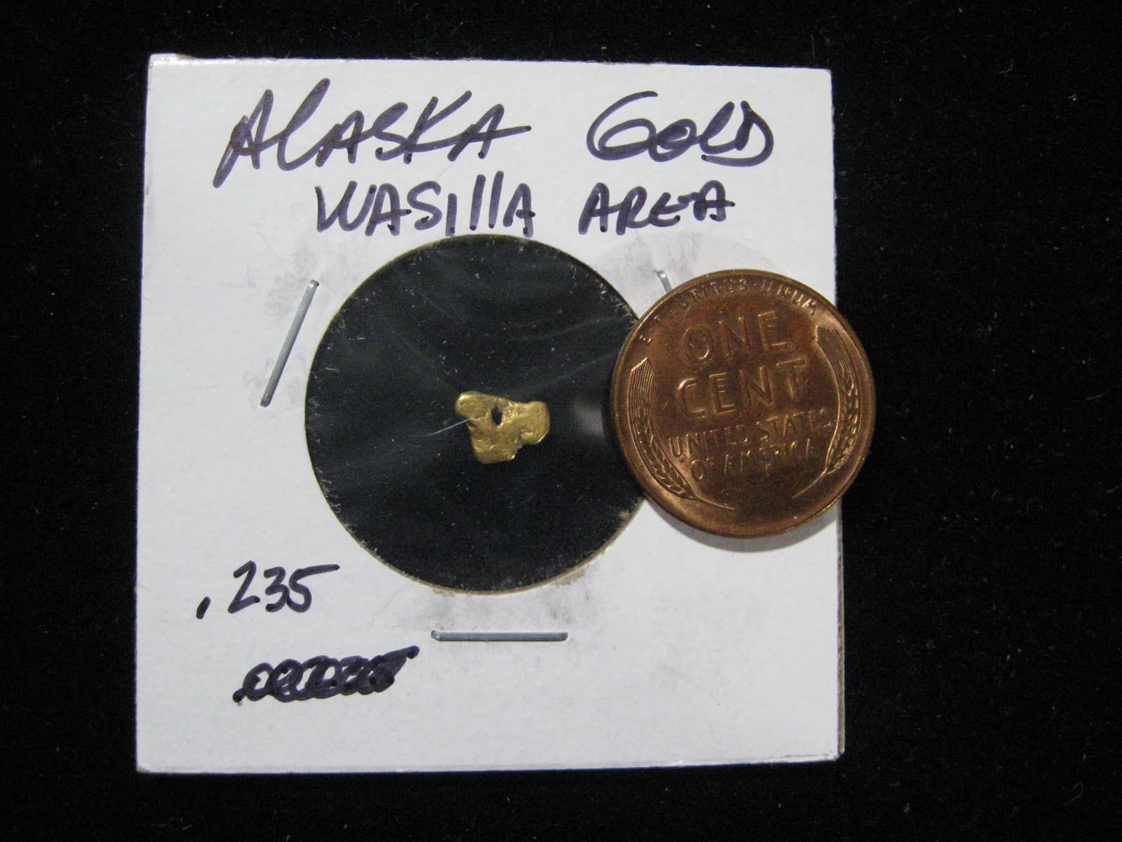 ALASKA GOLD NUGGET .235 GRAM