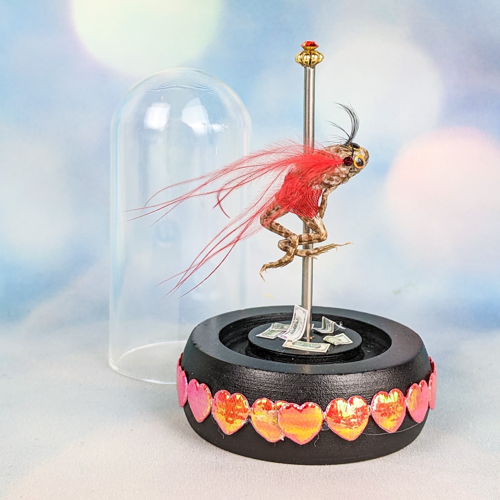 Stripper Leopard Frog Glass Dome Taxidermy Specimen Oddity Curiosities gift